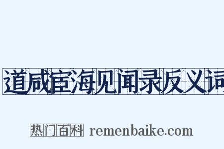 道咸宦海见闻录反义词是什么意思的图片
